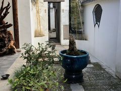 -月栖华明-云间草堂清茶馆(泗泾古镇店)