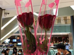 -海底捞火锅(金光华店)