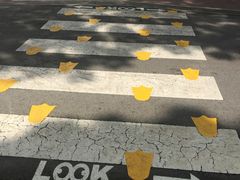 -新加坡飞禽公园