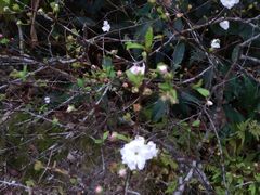 -北方家宴(番禺永旺店)