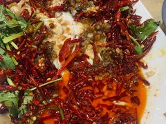 -杨氏青龙虾·羊蝎子(珠江路店)