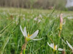 -白鹭湾湿地公园