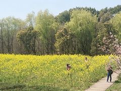 -同里国家湿地公园