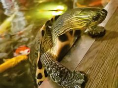 -衡山汇·高级粤菜(霄云路店)