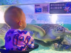 -福州罗源湾海洋世界旅游区