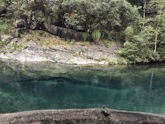 -石台牯牛降景区
