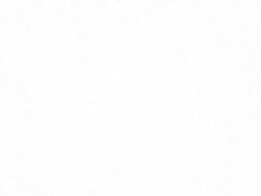 -泰康仰忠精品批发城