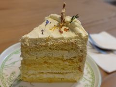 柠檬橘柚-LuluCake·路鹿蛋糕