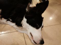 -哈尔滨北方国际青年旅舍(中央大街店)