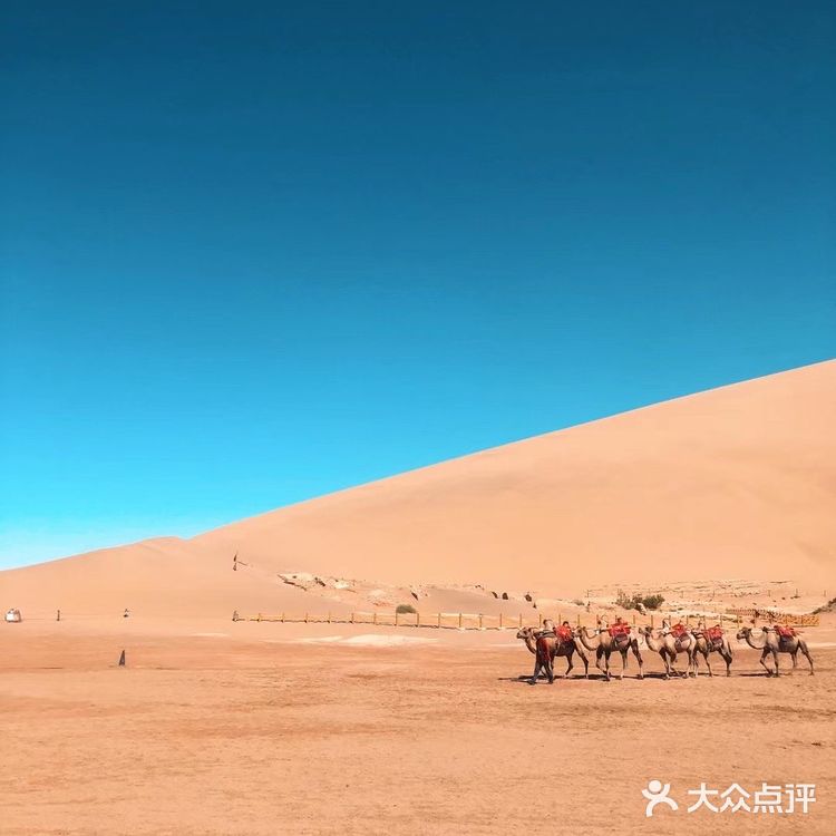 大西北环线5·大地之子/敦煌莫高窟/鸣沙山月牙泉