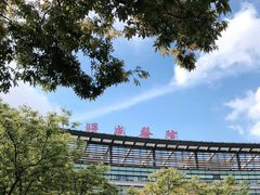 -上海中医药大学附属曙光医院(东部)