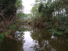 -桤木河湿地公园