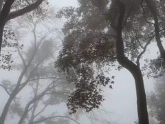 -广州市石门国家森林公园