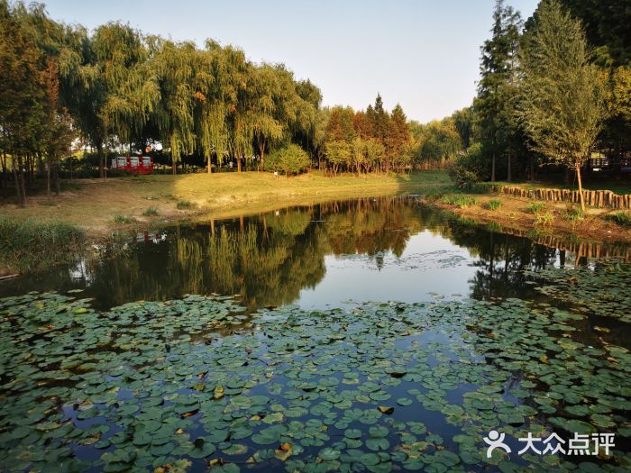 北龙湖湿地公园图片