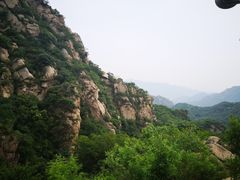 -大岭沟猕猴桃谷风景区