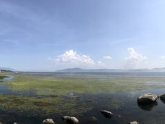 -洱海月湿地公园