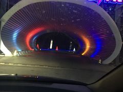 -枫花园汽车电影院(朝阳公园店)