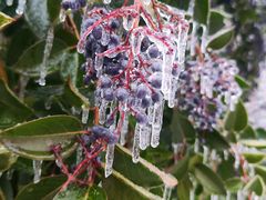 -海合安武汉极地海洋公园