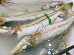 -万禧明珠大酒楼(海丰店)