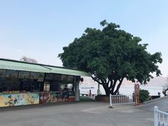 -南诏风情岛