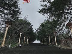 -三峡梯城