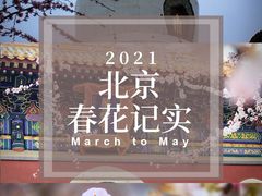 -北海公园