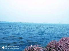 -阳澄湖半岛旅游度假区