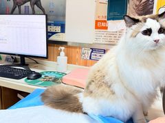 -宠福鑫动物医院(城北分院)