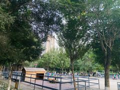 -长白岛森林公园