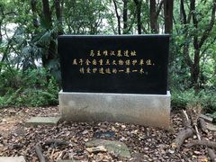 -马王堆汉墓遗址