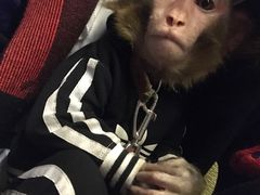 -盤古Spa泰式古法抓龙筋(鲁迅路店)