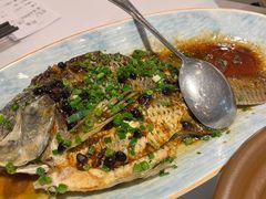 罗非鱼-围龙屋客家食府(福田店)