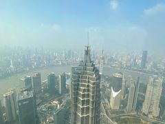 -上海柏悦酒店·世纪100牛排馆