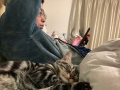 -猫大福·Fortune Cat猫舍(百子湾店)