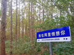 -同里国家湿地公园