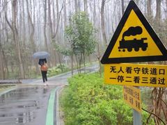 -合肥滨湖国家森林公园