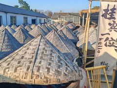 -苏州市吴中区光福窑上花果蜜饯厂