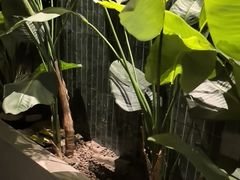 -涟LIAN·泰式按摩·MASSAGE·SPA(华强北店)