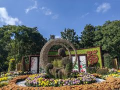 -上海共青森林公园