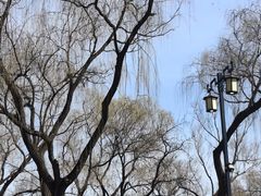 -北陵公园