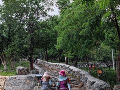 -阳台山自然风景区