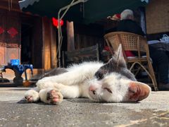 -龙姐私房菜(和顺古镇店)