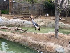 -郑州银基国际旅游度假区