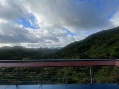 -阳台山自然风景区