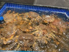 -东海怡品海鲜豆捞(星街坊店)