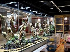 -趣陶陶艺手工坊(新世界百货重庆店)