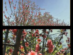 -水濂山森林公园