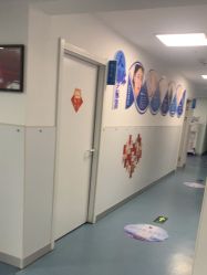 -温州伯思立医院