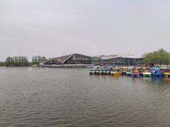 -上海长兴岛郊野公园