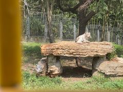 -上海野生动物园